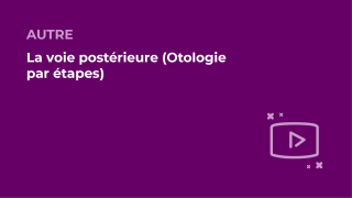 SFORL_VIEWR_video_vignettes-COMMUNAUTEORL113